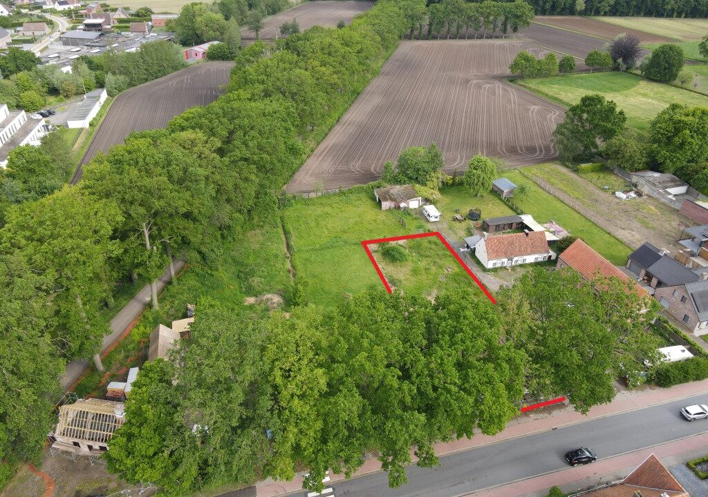 07